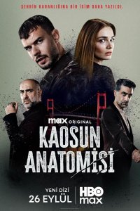 Анатомия хаоса